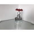 Full Bore 200PSI Stainless Steel Globe Valve